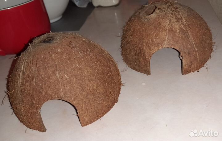 Укрытие кокос