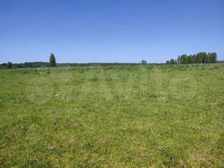 Участок 11 га (СНТ, ДНП)