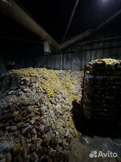 Хлебные отходы корм