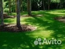 Мятликовый эко газон в рулонах