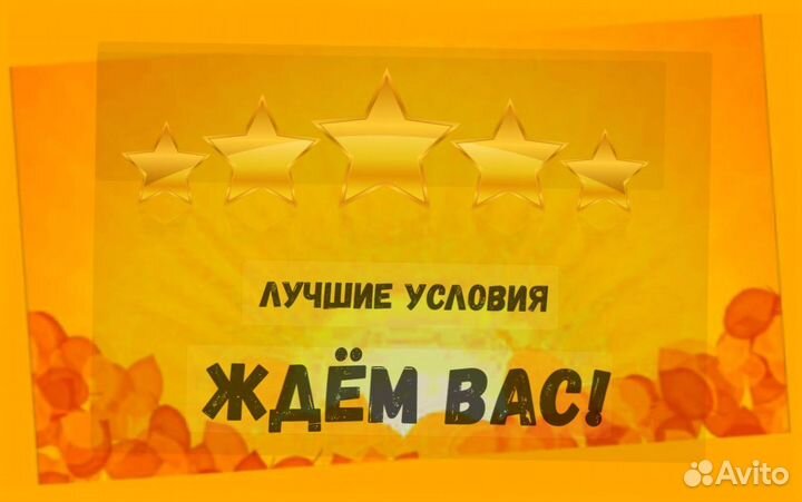 Сортировщик Еженедельный аванс Спецодежда М/Ж