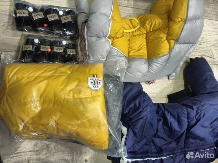 Одежда для собак