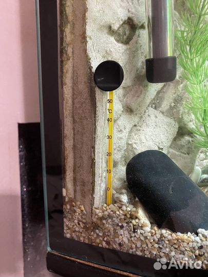 Аквариум 200 литров с тумбой
