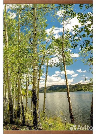 Инфракрасный обогреватель настенный