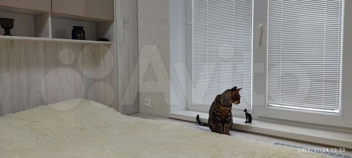 2-к. квартира, 56,8 м², 7/10 эт.