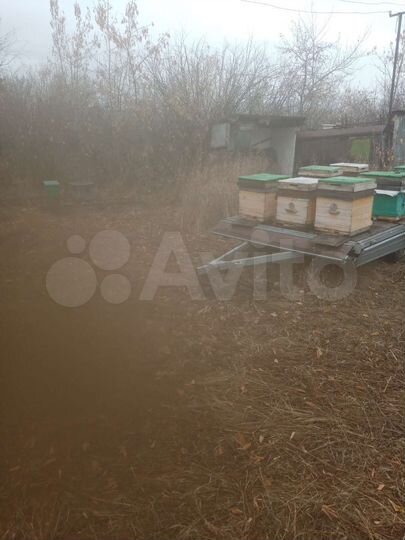 Участок 2 сот. (СНТ, ДНП)