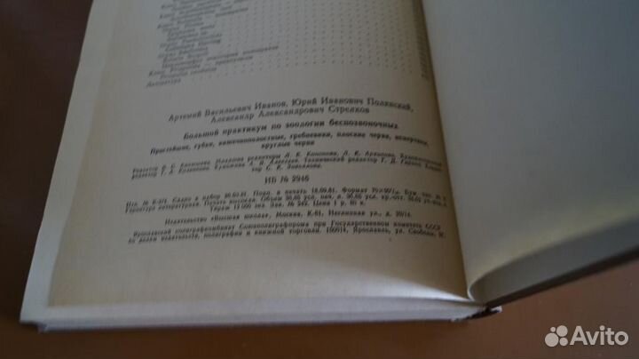 Большой практикум по зоологии безпозвоночных 1981