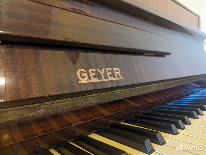 Geyer