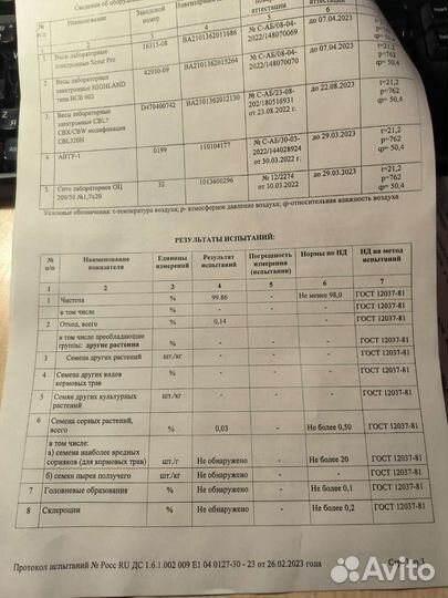 Семена суданской травы