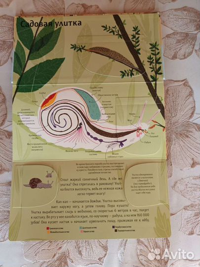 Книги издательства миф