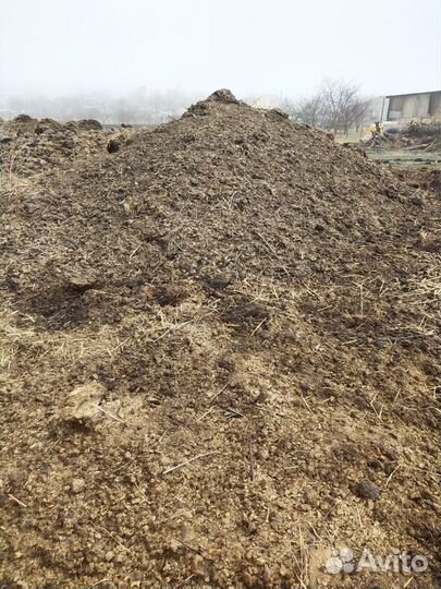 Перегной Навоз Коровий