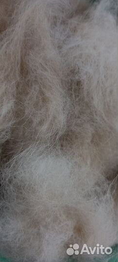 Собачья шерсть