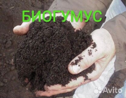 Биогумус, (лучшее органическое удобрение)