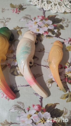 Целлулоид. Попугаи-погремушки