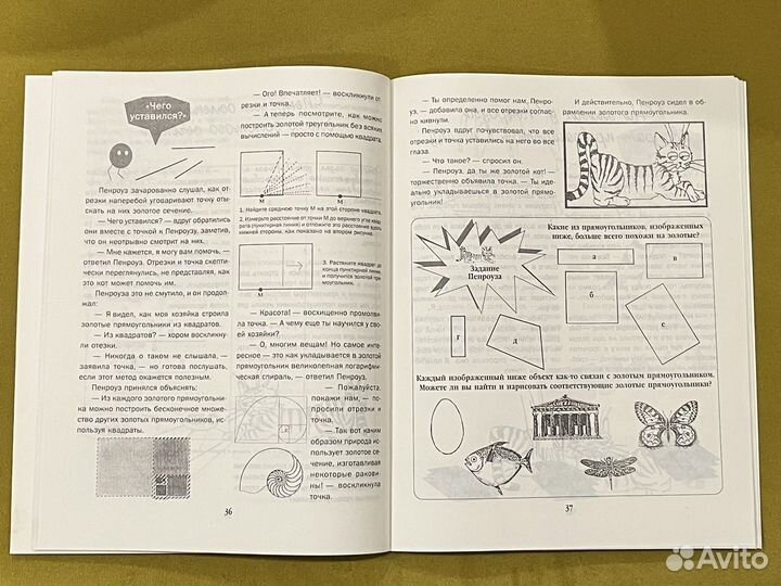 Ваш ребенок полюбит математику.