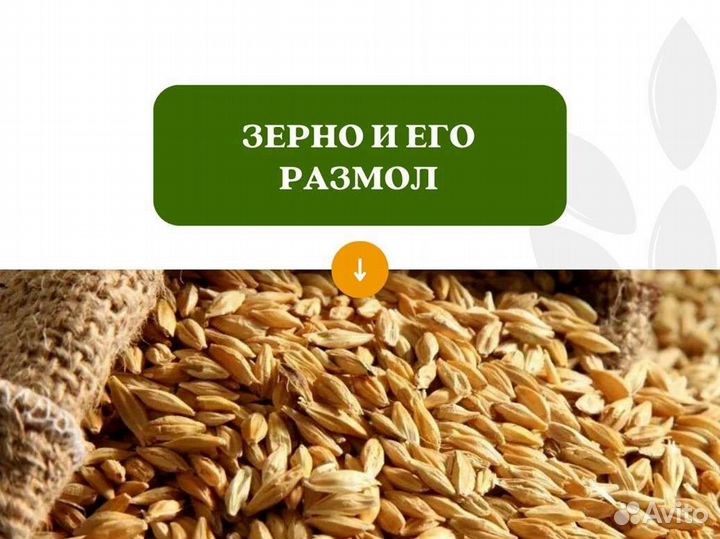 Пшеница Размол (кг)