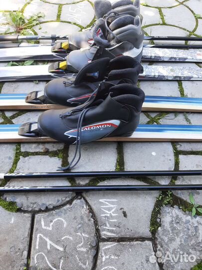 Беговые лыжи