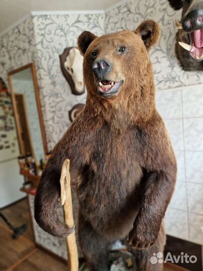 Имитация медведя