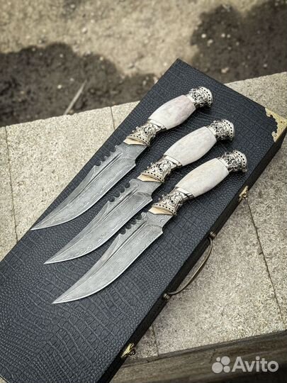 Нож Хищник на подарок