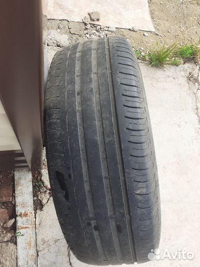 Bridgestone Blizzak LM-30 205/65 R15