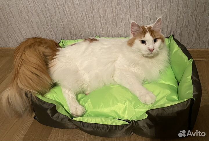 Лежанка для кошек/собак