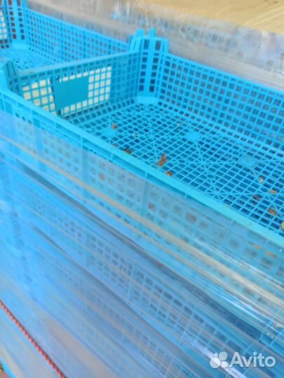 Ящик пластиковый