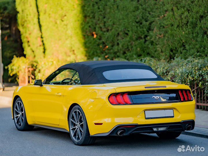 Прокат Ford Mustang кабриолет Сочи Адлер Сириус