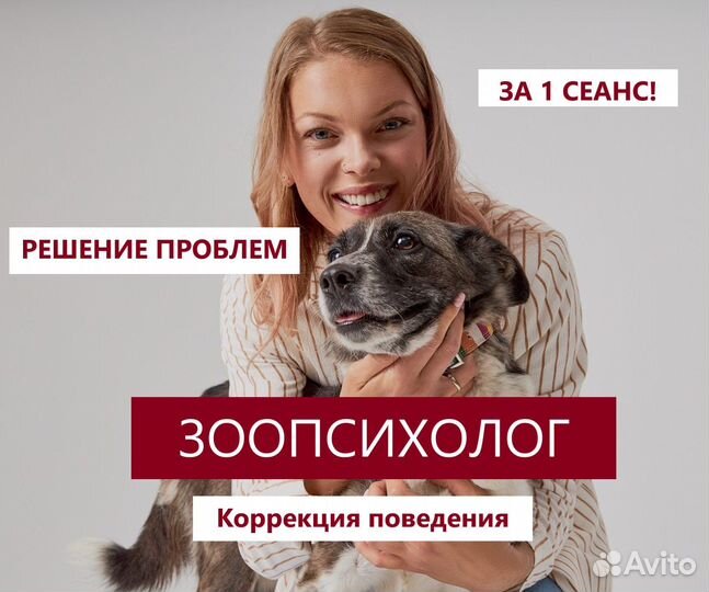 Кинолог Зоопсихолог с выездом Онлайн Дрессировка