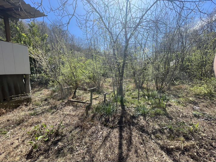 Участок 5 сот. (СНТ, ДНП)