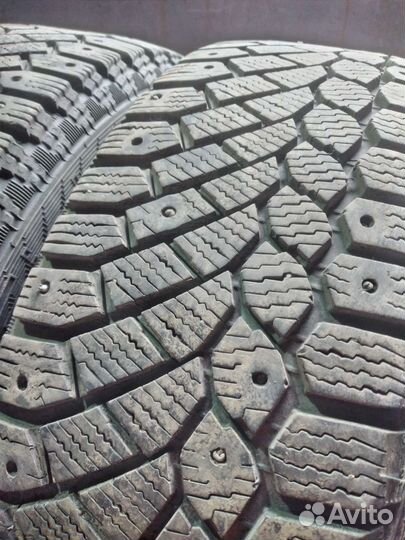 Gislaved Nord Frost 200 185/65 R15