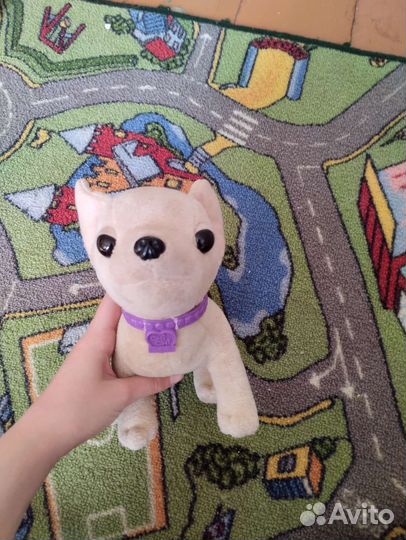 Мягкая собачка чичилав