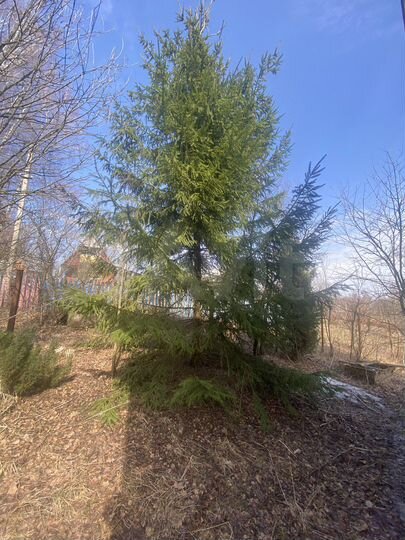 Дача 109 м² на участке 11 сот.