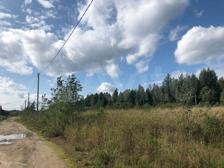 Участок 14,5 сот. (СНТ, ДНП)