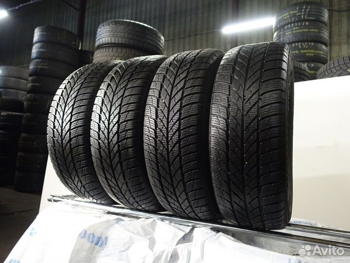 Gislaved Euro Frost 5 205/55 R16