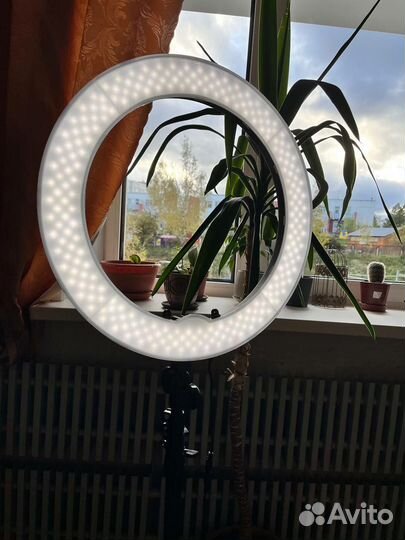 Кольцевая лампа 500мм