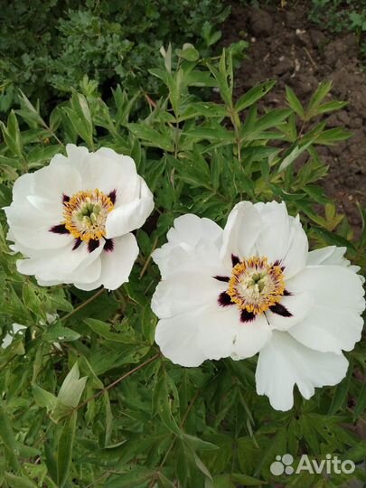 Любимое хобби