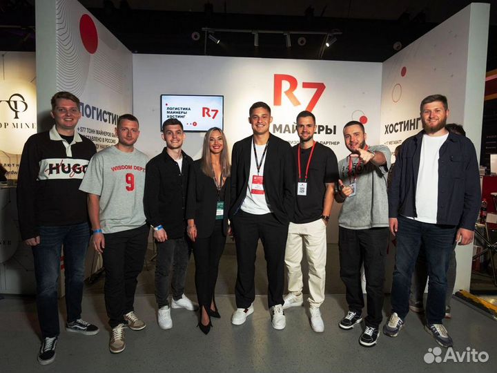 Asic Antminer HS3 9Th