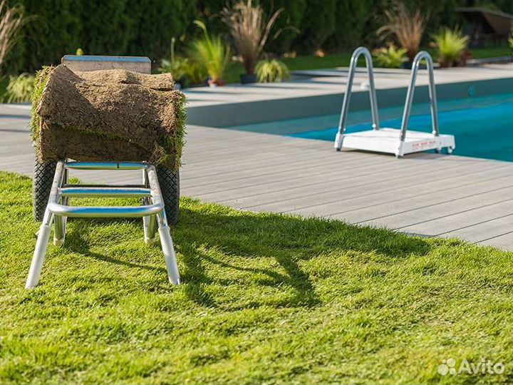 Газон в рулонах от производителя