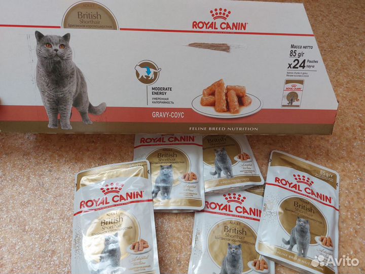 Корм для кошек Royal Canin British Shorthair паучи
