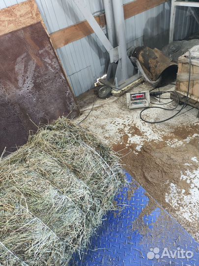 Сено люцерны в тюках