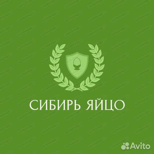 Сибирь яйцо