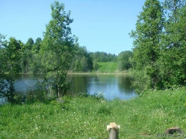 Участок 36 сот. (ИЖС)