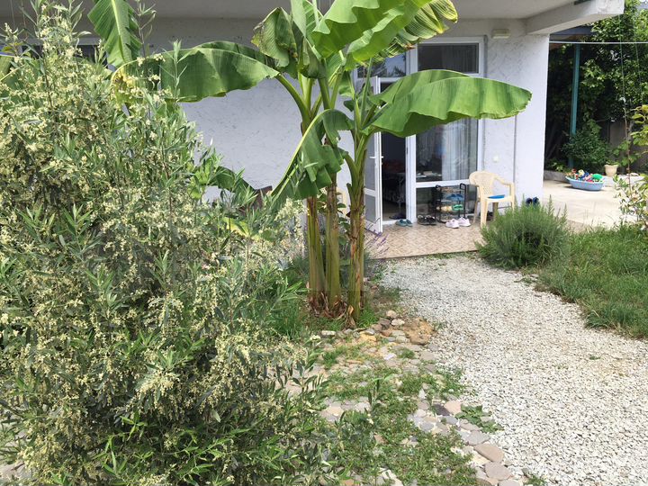 Комната 15 м² в 2-к., 1/2 эт.