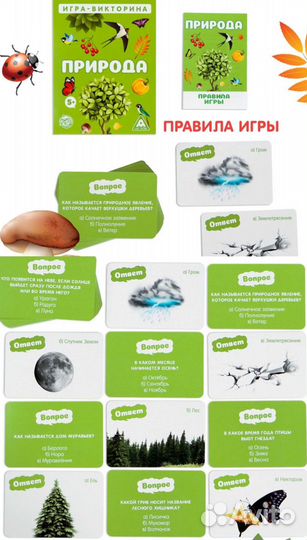 Новые карточные игры для детей