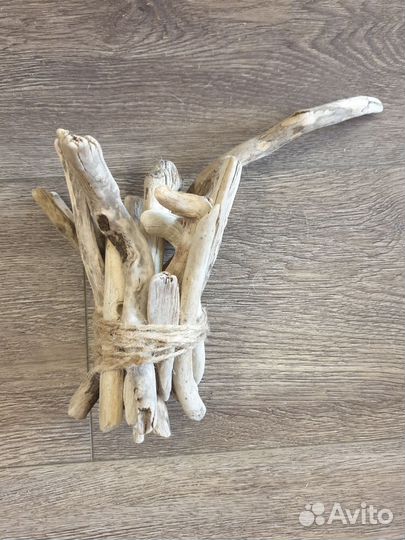 Морские коряги