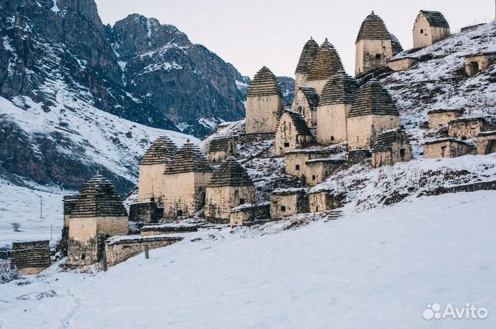 Организация досуга и отдыха