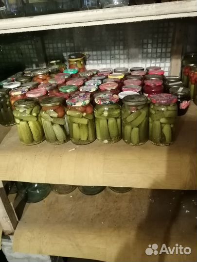 Помидоры, огурцы и сушеный чеснок домашние