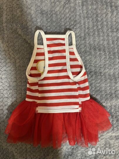 Одежда для собак мелких пород(чихуа хуа)