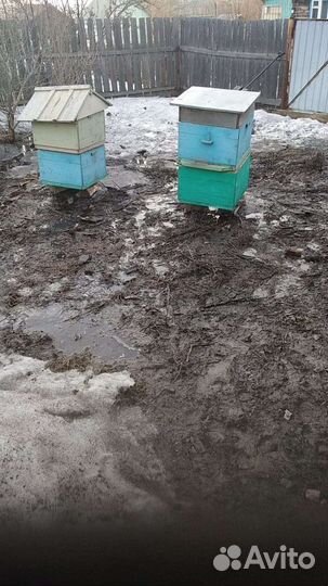 Улей для пчел бу