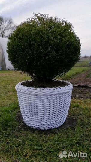 Кашпо из полиротанга